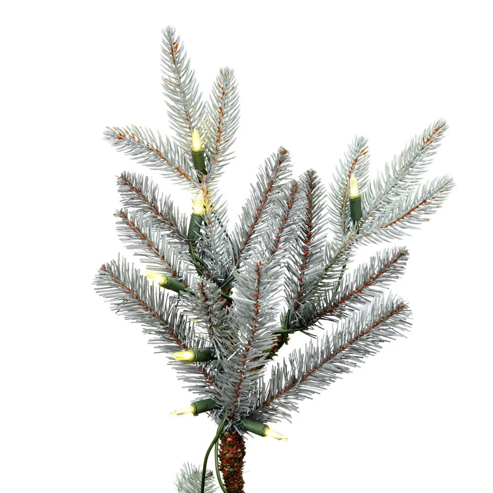 14' x 88" Douglas Blue Fir Artificial Christmas Tree Warm White Dura-lit LED