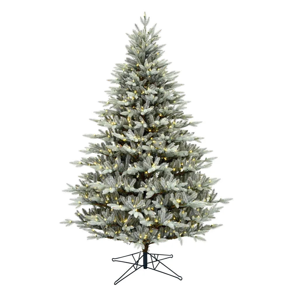 14' x 88" Douglas Blue Fir Artificial Christmas Tree Warm White Dura-lit LED