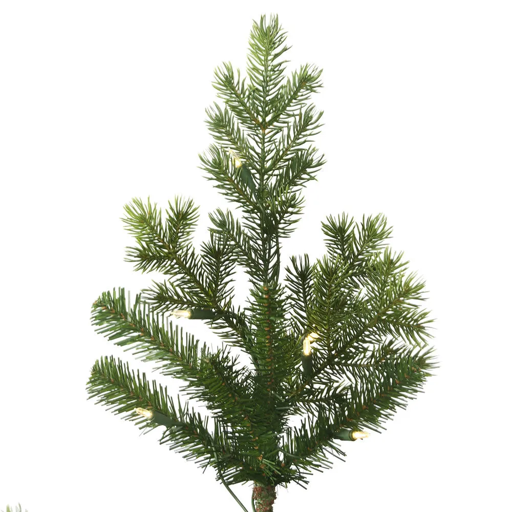 3' x 29" Eagle Fraser Fir Full Artificial Christmas Tree Warm White Dura-lit LED