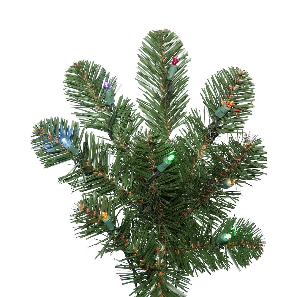 6.5' Oregon Fir Artificial Christmas Tree Wide Angle Single Mold Colored LED