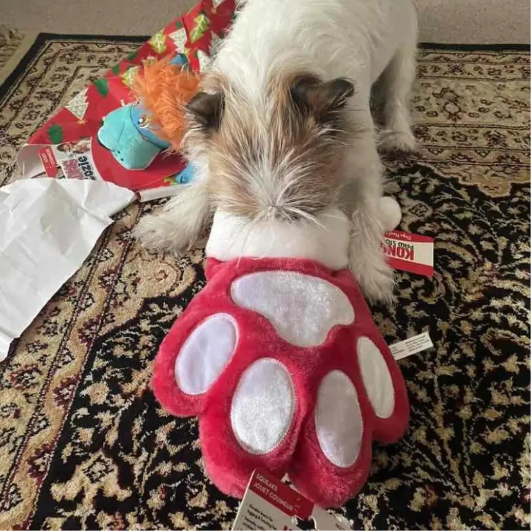 Kong Holiday Stocking Paw Dog Toy