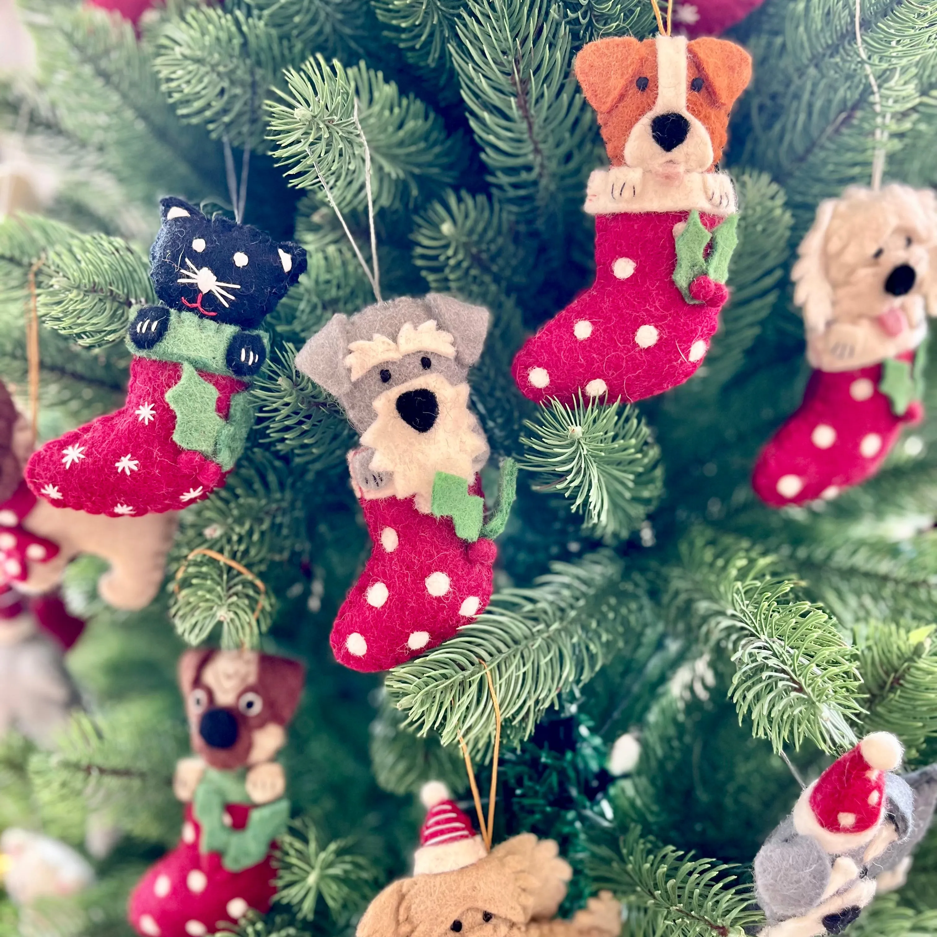 Schnauzer in stocking Christmas decoration