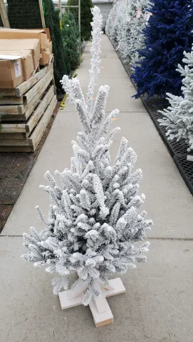 white flocked fraser fir 3'-4'